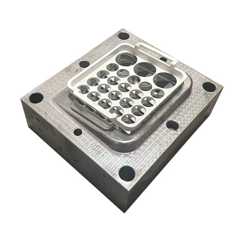 Plastic Ice Cube Molding